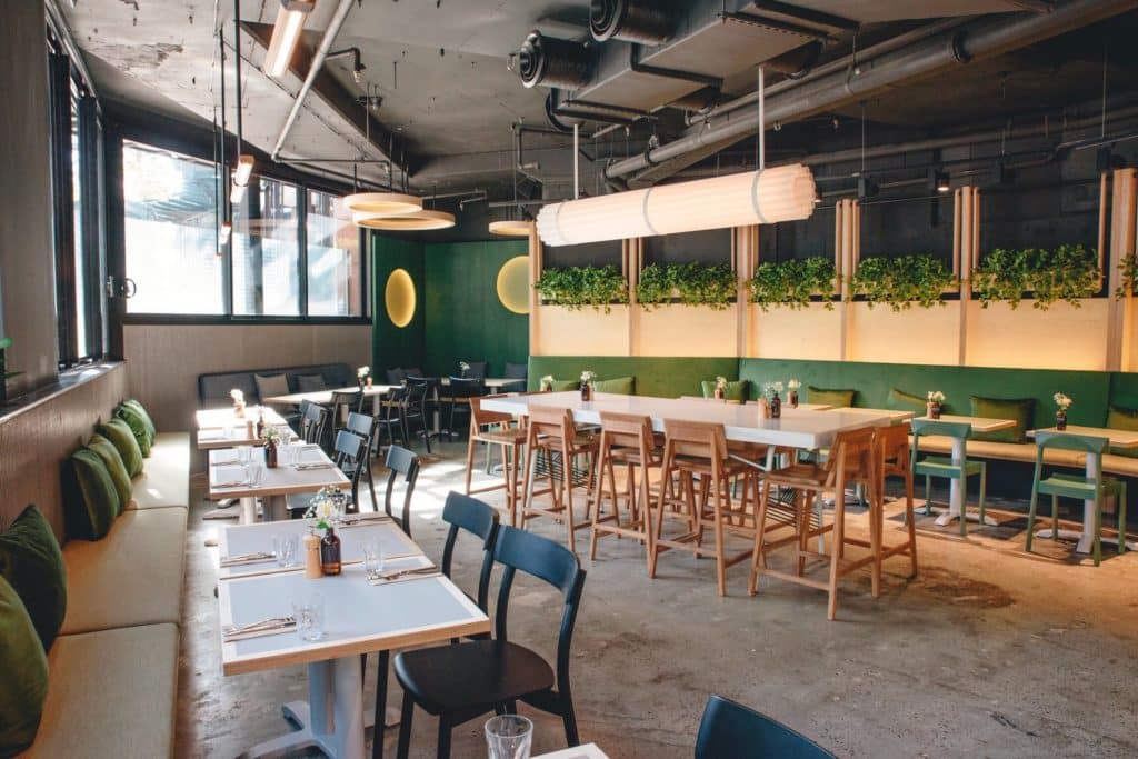 Japanese cafes in Sydney