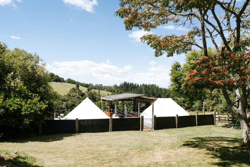 camping bay of plenty