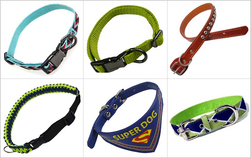 A Guide to the Perfect Running Leash for Your Pooch